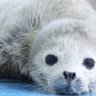 分かち合い、支えあう 玉しい profil fotoğrafı