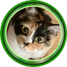 Nyam Nyam🇲🇾💚to the Moon🚀🌕💫🌳🌳🌳's profile picture