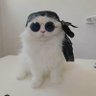 dee profil fotoğrafı