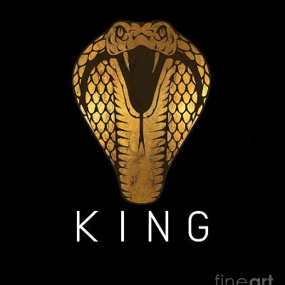 KingMakerIQ's profile picture