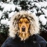 Camille's profile picture