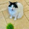 Profilbild von soy la gata loca