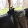 Funky Dunky's profile picture