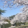 Фото профиля 唐岩