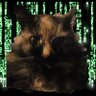 Profilbild von Torch