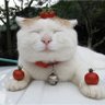 NN's profile picture