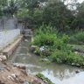 Save Trimulgherry Lake's profile picture