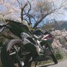 hideki.K's profile picture