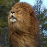 ŞaaK profil fotoğrafı