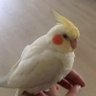 Knyt00 profil fotoğrafı