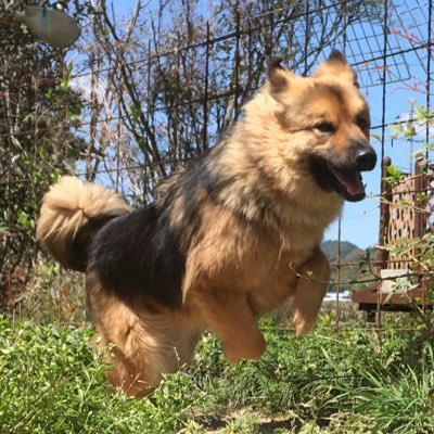 AuullD's profile picture