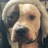 dylan's profile picture