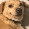 Jered's profile picture