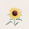 김진익's profile picture