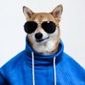 Matt 的头像