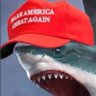 Shark67's profile picture