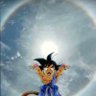 Shaka's profile picture