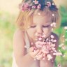 セレモ profil fotoğrafı