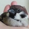 Profilbild von 優菜