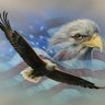 Liberty Rising's profile picture