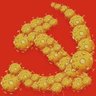 Profilbild von 金衣