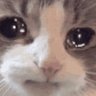 旺仔牛奶's profile picture