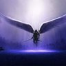 Фото профиля Christian PARZIFAL