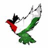 🔻BOYCOTT ISRAEL🔻 的头像