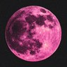 Silence's profile picture