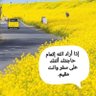 Фото профиля RAZAN