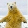 許家豪 profil fotoğrafı