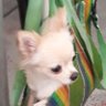 ชั้นคือหมานุดต่างดาว's profile picture