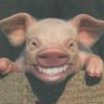 Paulo Henrique Xanxo🐷 的头像