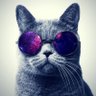 blade's profile picture