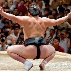 guishoutianlong's profile picture