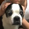 aiai's profile picture