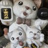 皮下脂肪-弁慶's profile picture