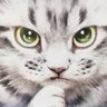 Profilbild von SQJK950