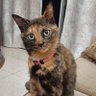 Фото профиля Gracie