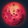 世界のooo's profile picture