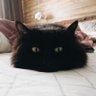 Profilbild von Roma