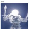 rexicedragon profil fotoğrafı