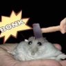 Profilbild von Len Lemming Len