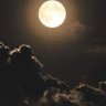 Фото профиля Daniel Zaracho