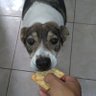 Profilbild von Brasileira