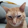 Aaron's profile picture