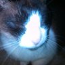 Amsi profil fotoğrafı