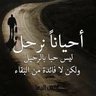 Фото профиля mohammed