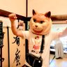 あんばさ屋・新HANABI登山家 profil fotoğrafı