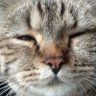 aft profil fotoğrafı